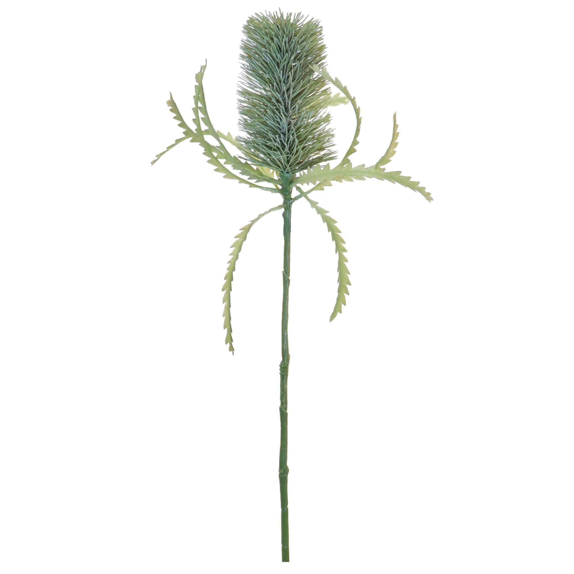 Grey green Banksia artificial flower stem