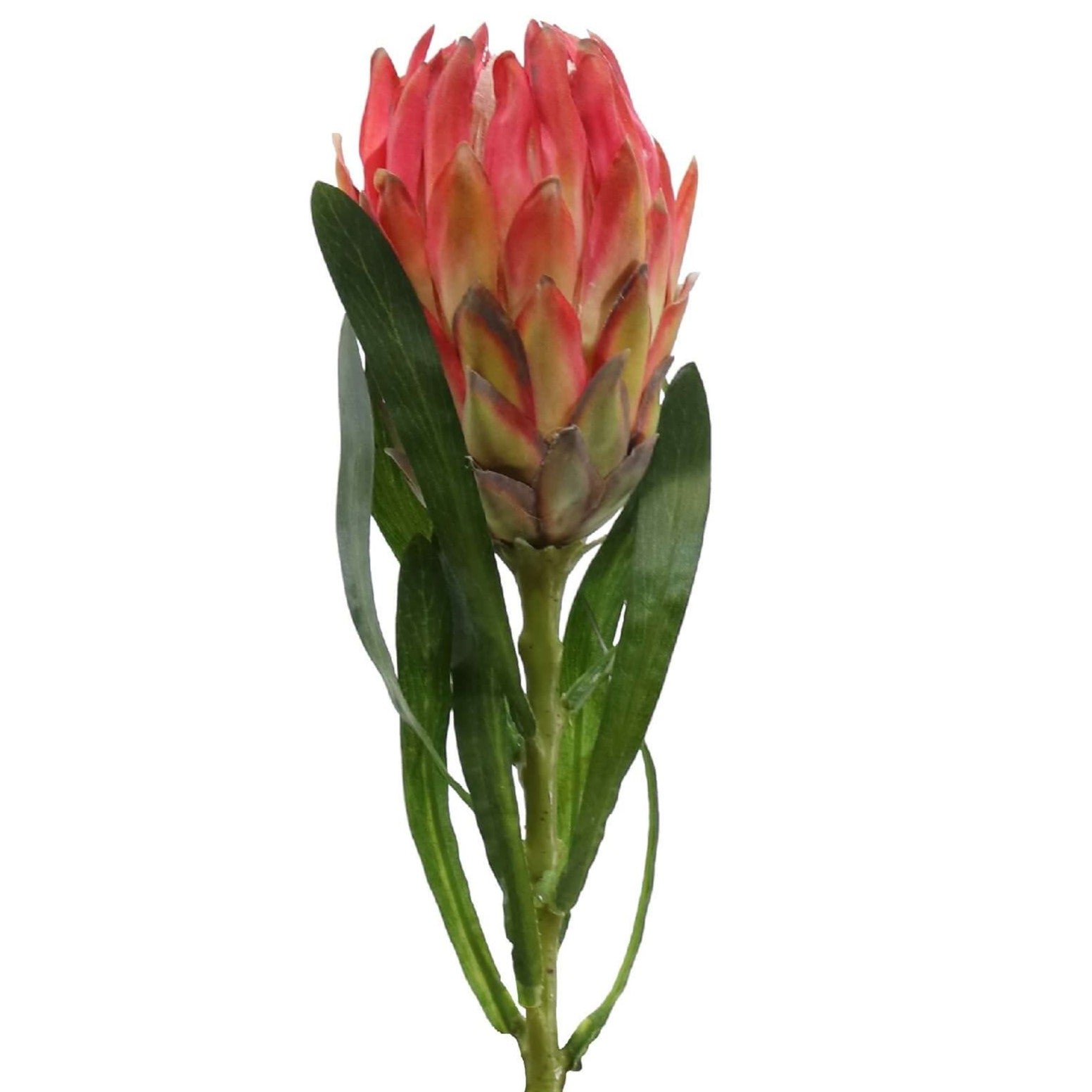 Artifical Queen Protea Stem in Pink