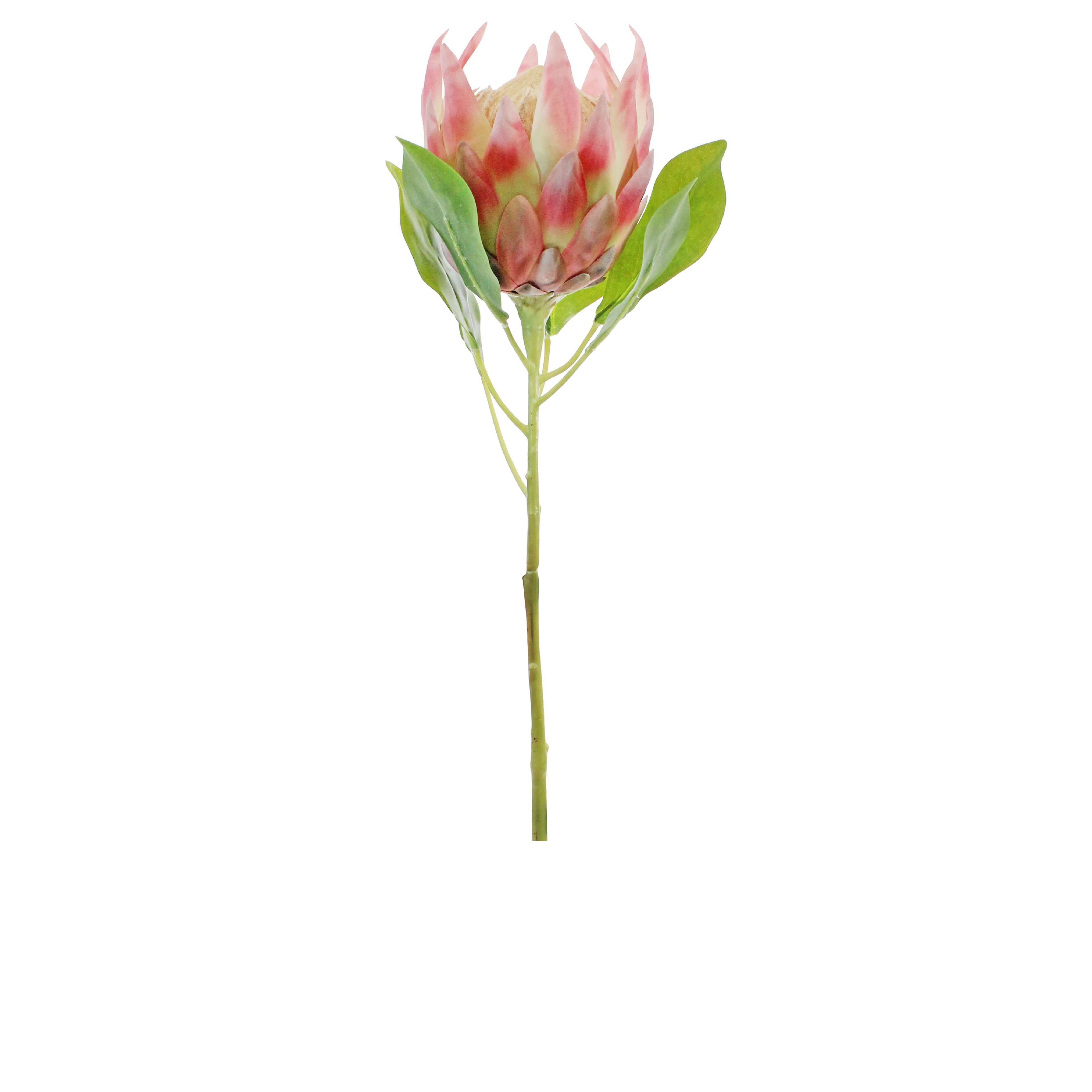 Satin King Protea Artifical stem in Pink Cream