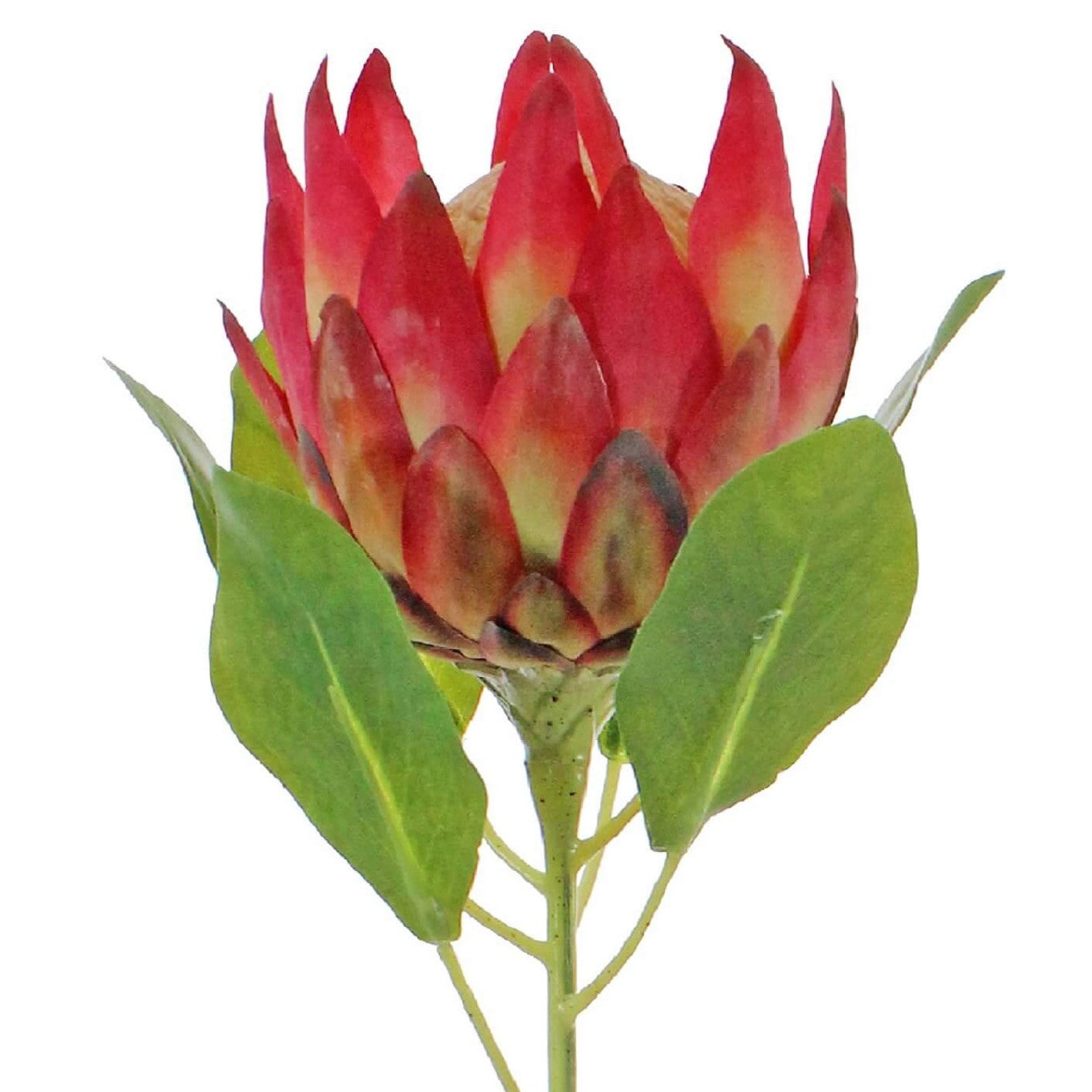 Artifical Satin King Protea stem in Pink Mauve