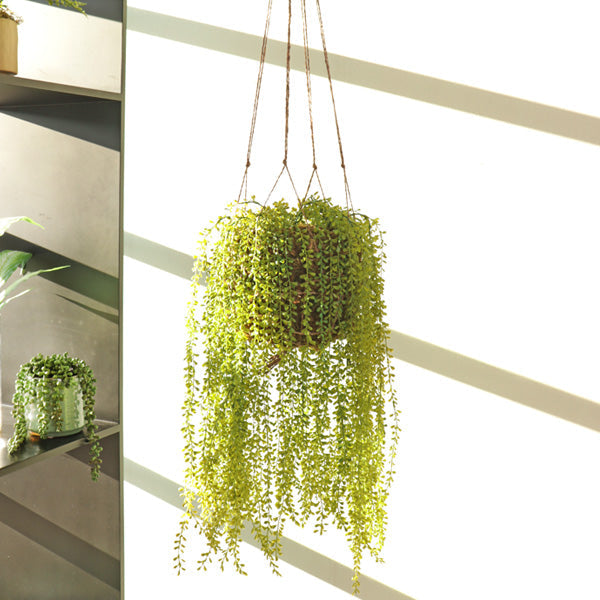 Fake green plant hanging