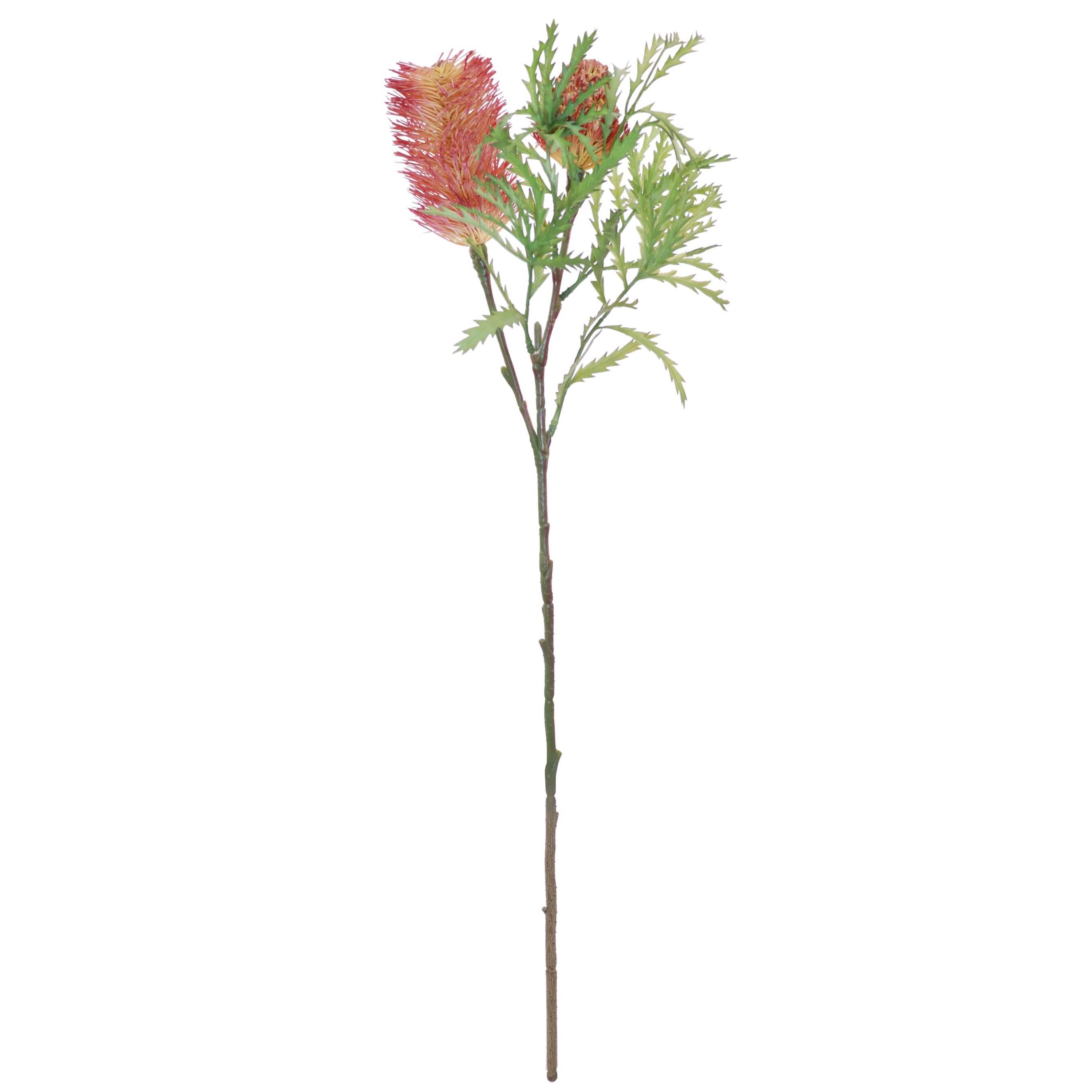 Banksia artificial flower stem