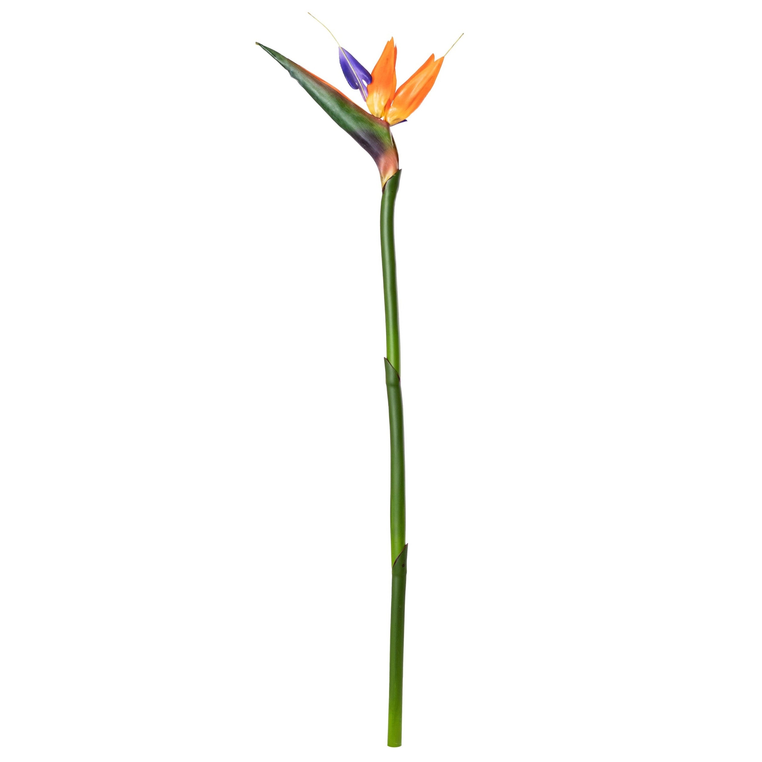 Artificial Bird Of Paradise Stem