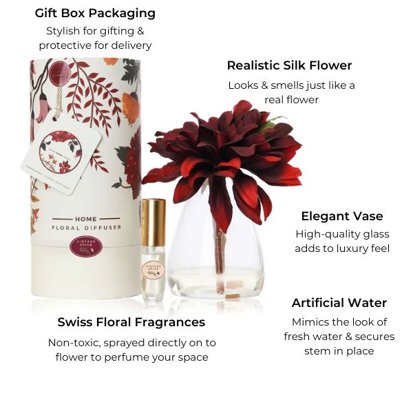 Burgundy Dahlia & Fragrance Set