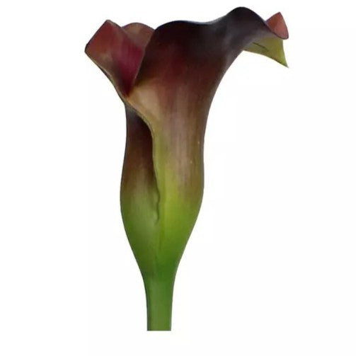 Calla Lily Spray - Coral