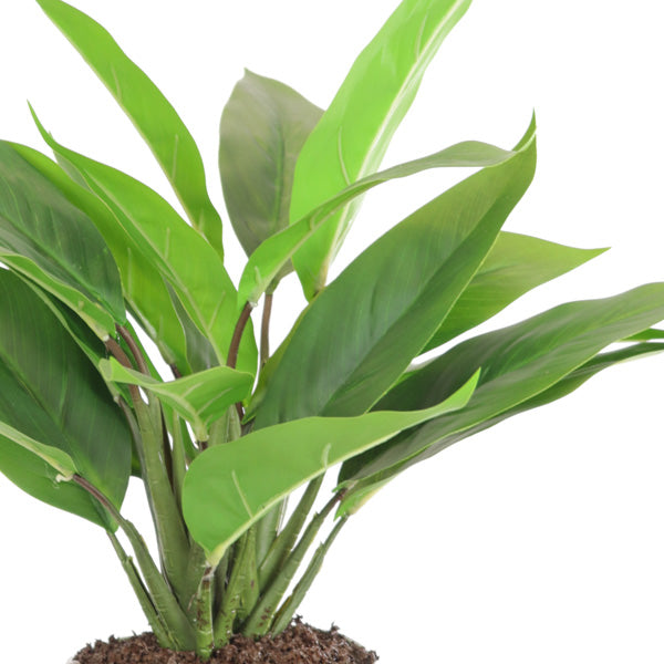 Artificial cordyline plant