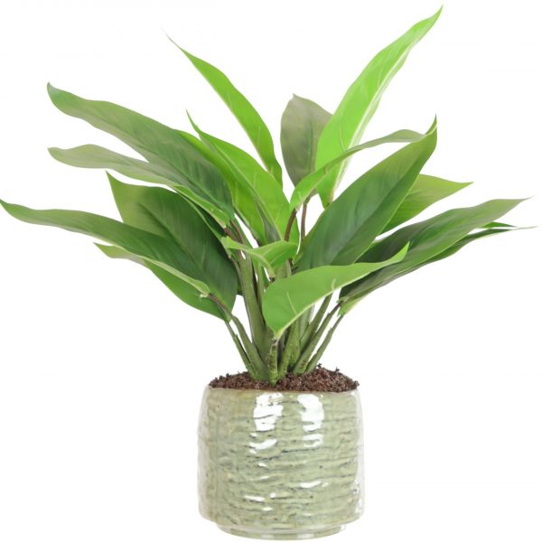 Artificial cordyline pot plant