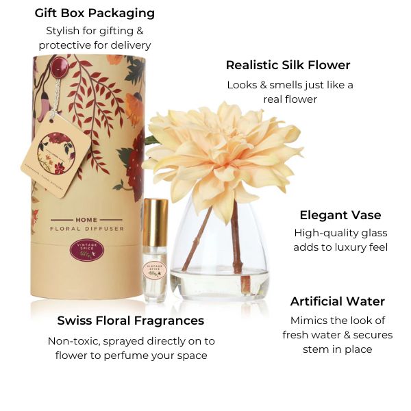 Cream Dahlia & Fragrance Set