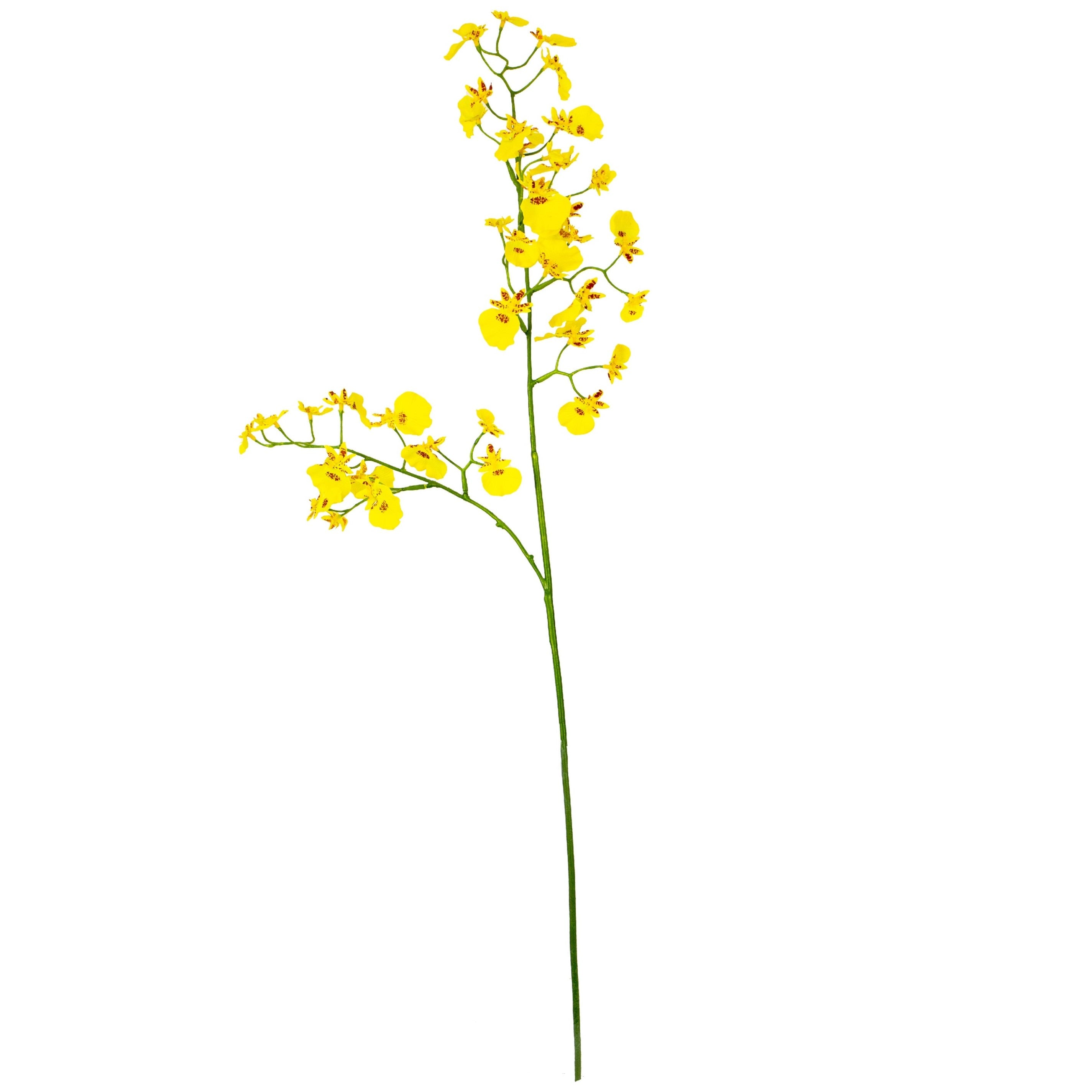 Fake Dancing Orchid - Yellow