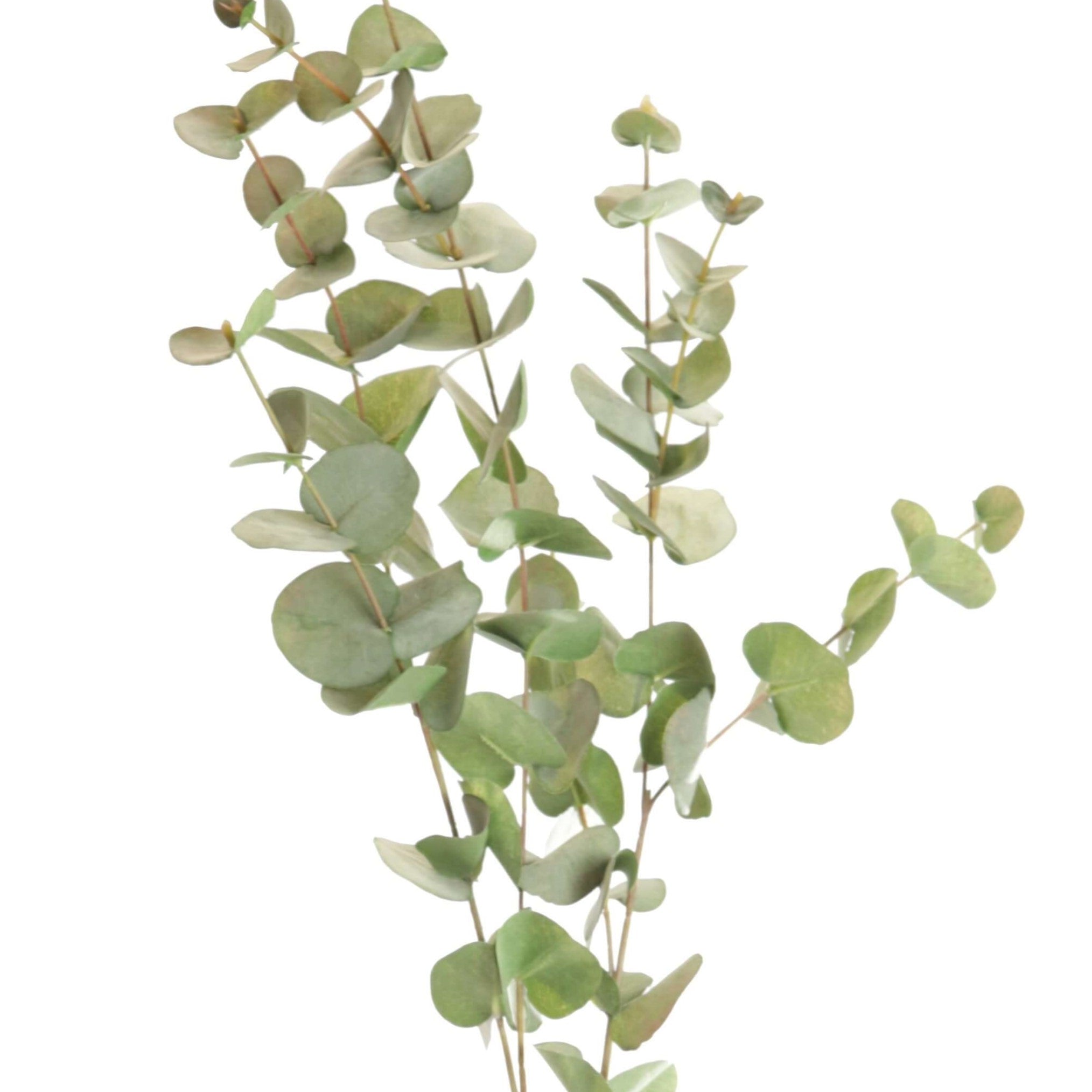 Eucalyptus Spray - Green Yellow artifical flower stem