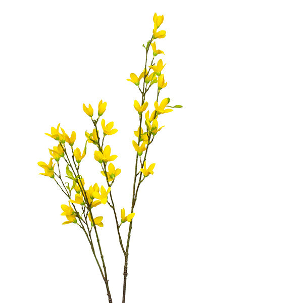 Fake Forsythia - Yellow