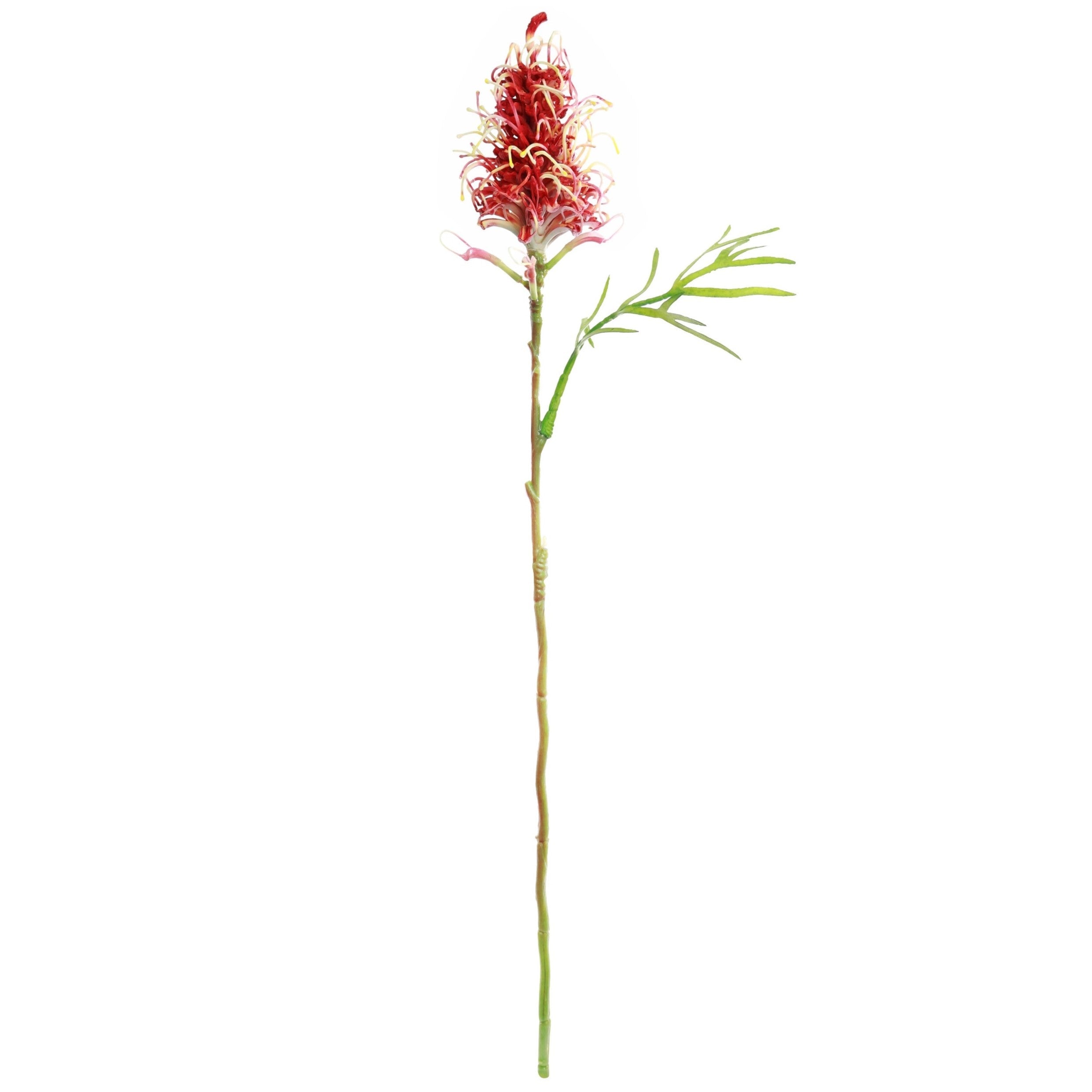 Burgundy artificial Grevillea single stem