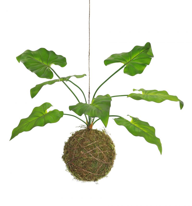 Fake hanging taro plant