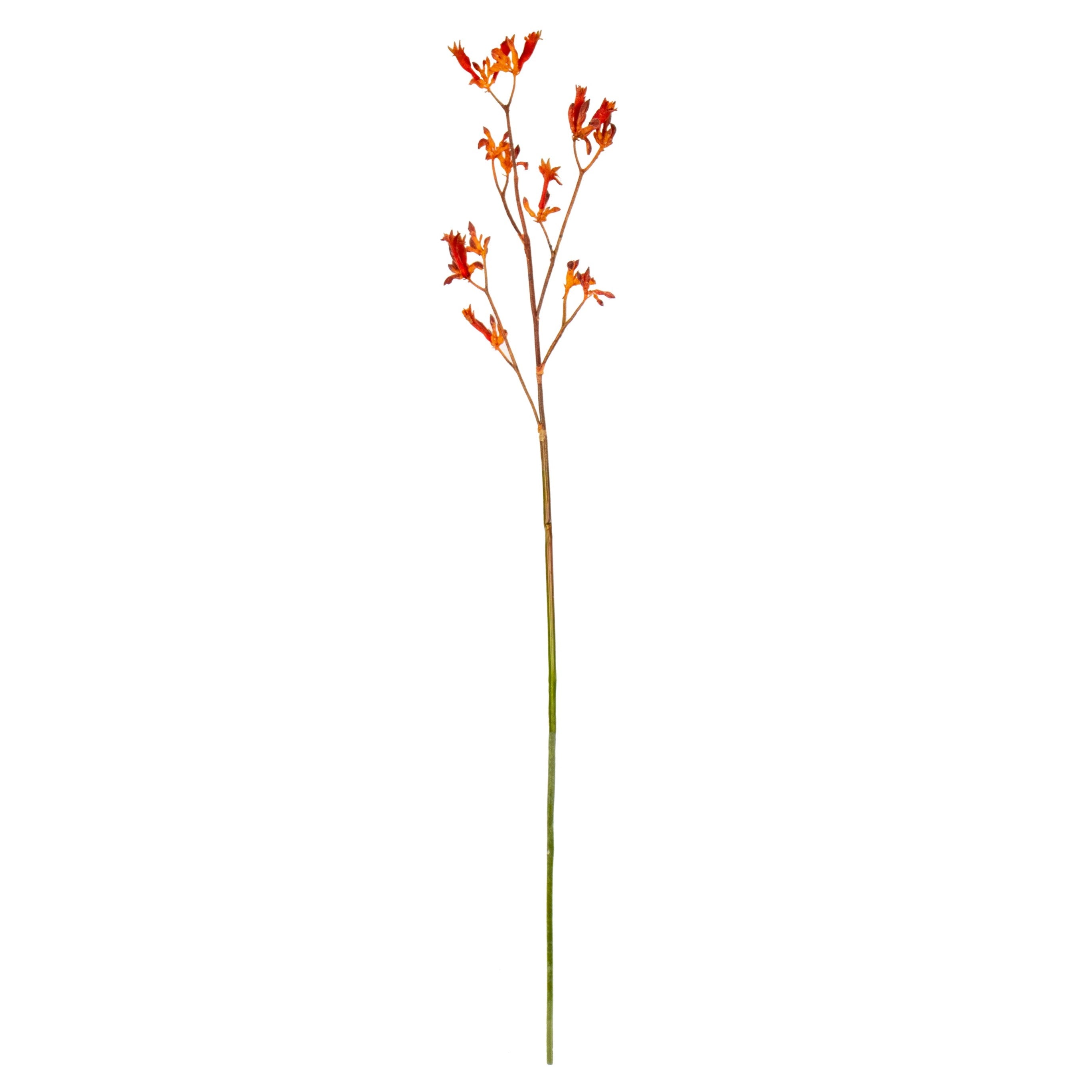 Fake Kangaroo Paw in Red