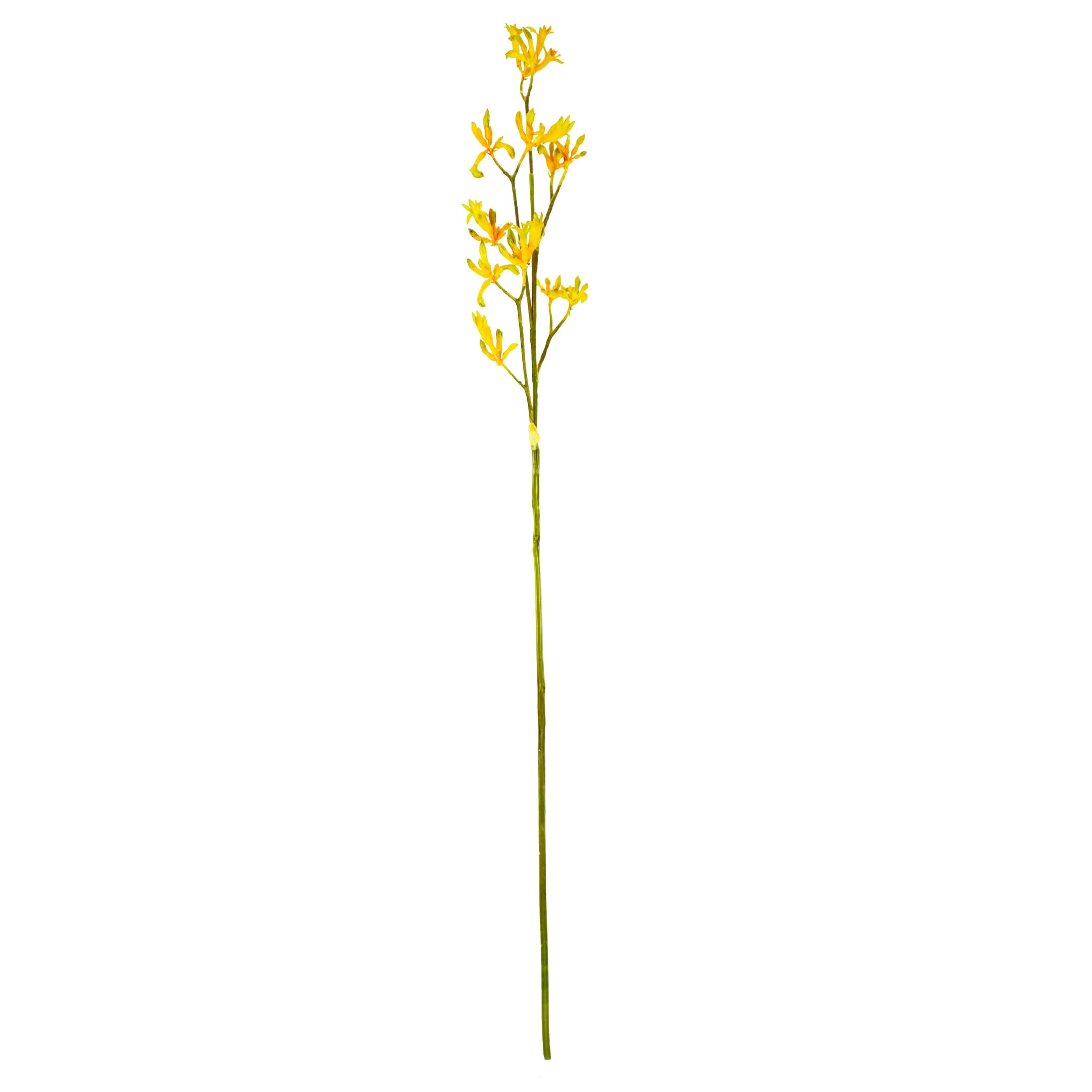 Fake Kangaroo Paw in Yellow