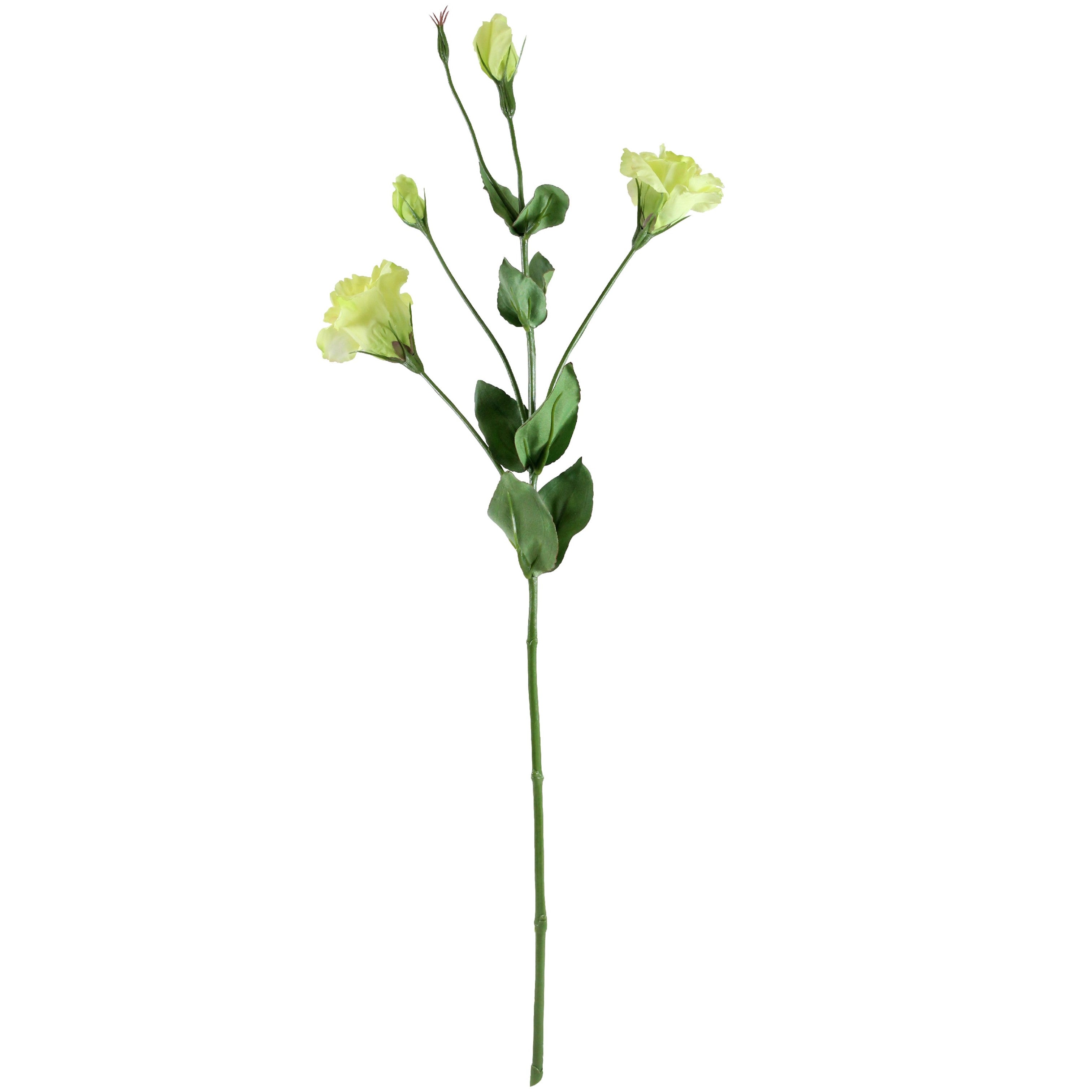 Lisianthus Spray