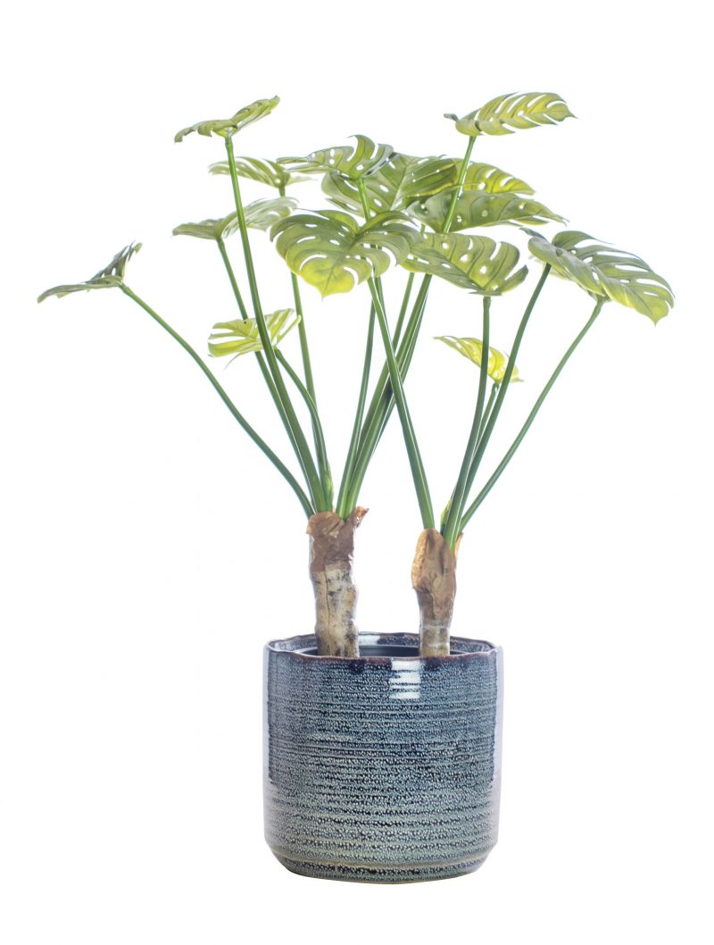 Monsteria Artificial pot plant