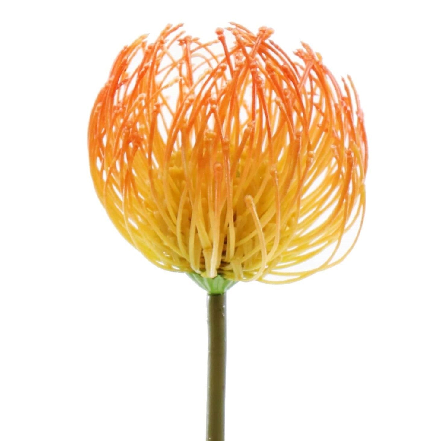 Orange artifical Needle Protea stem