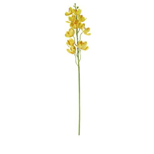 Fake yellow orchid single stem and flower