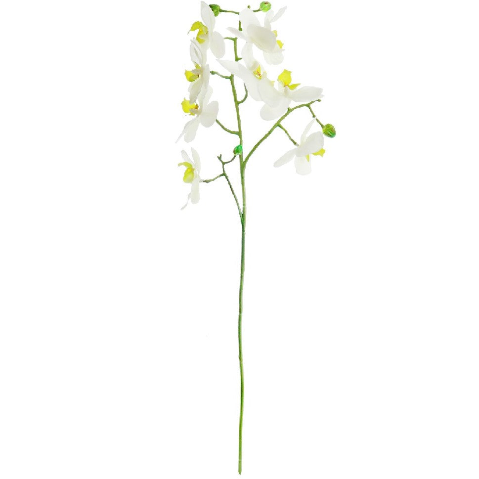 Fake Phalenopsis Orchid - White stem