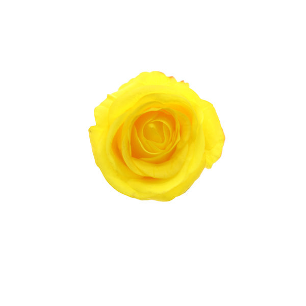 artificial yellow rose flower head