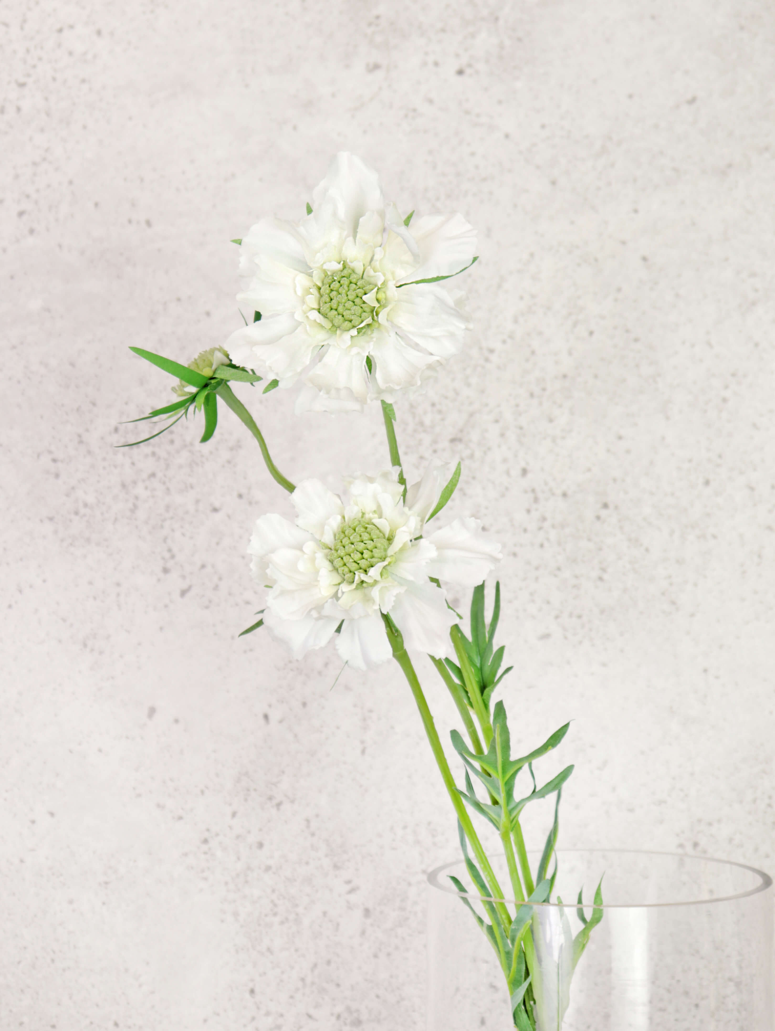 Artificial Scabiosa Spray