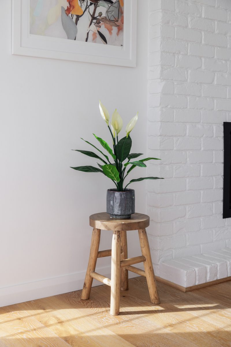 Artificial Spathiphyllum Plant