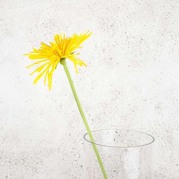 Artificial Spider Chrysanthemum stem