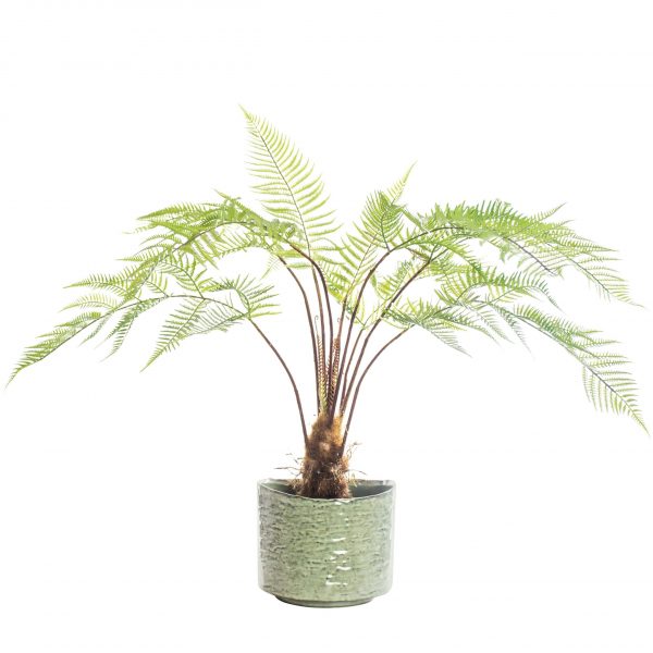 Fake Sword Fern Plant in Ceramic pot