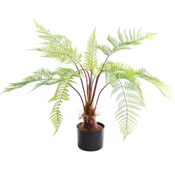 Fake Sword Fern Plant