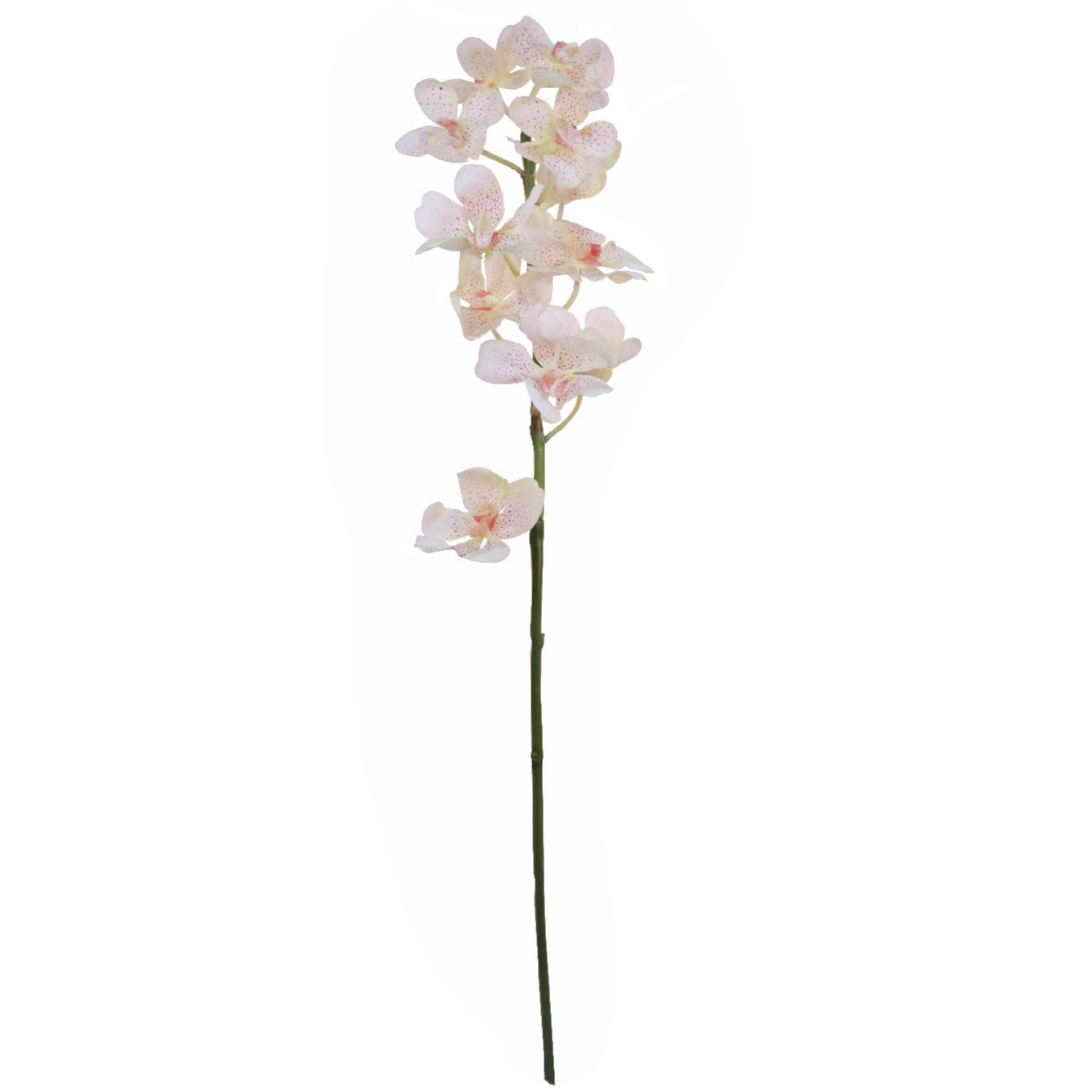 Artificial Vanda Orchid Stem in Cream