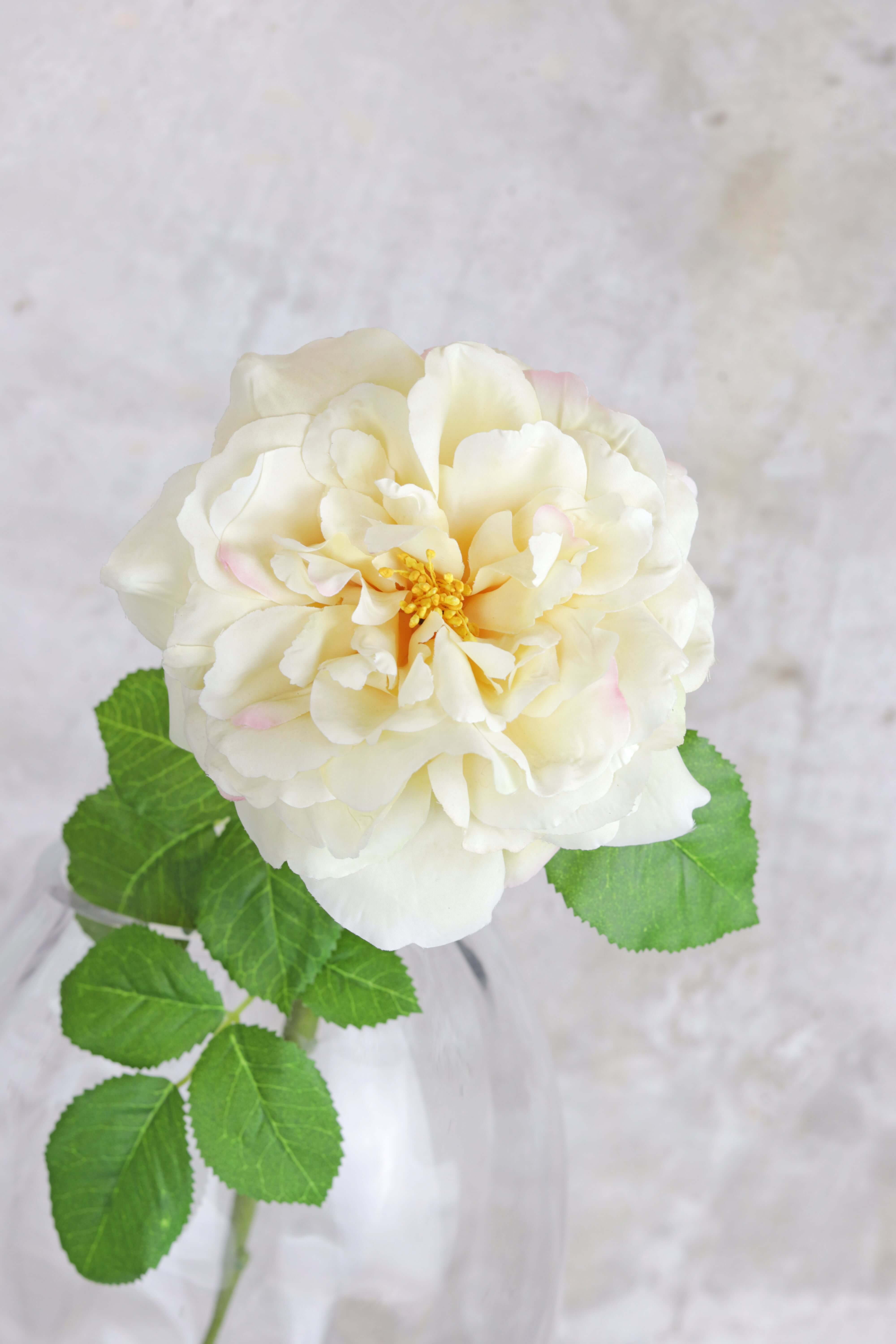 Artificial Wild Rose Spray in Cream 