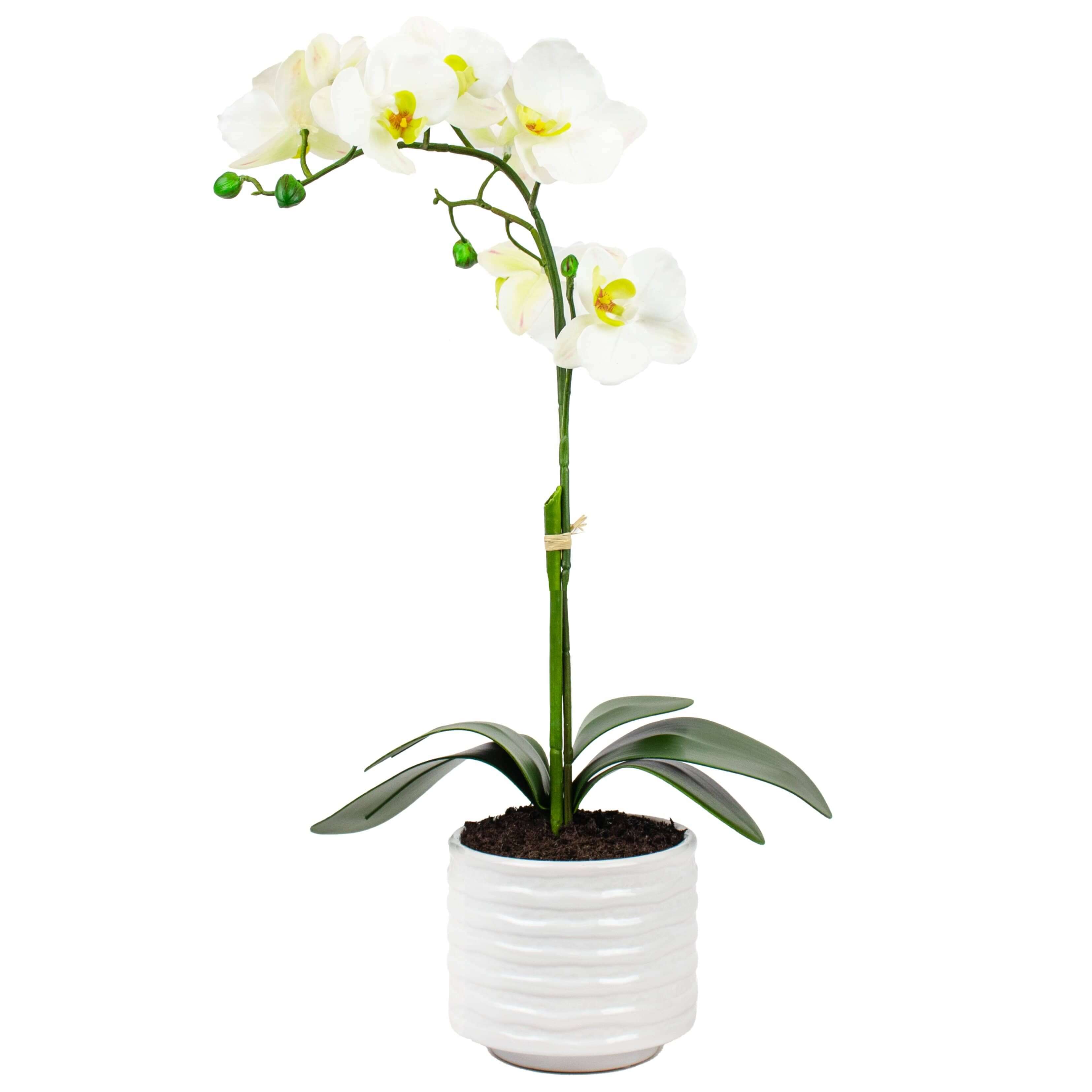 White Artificial Orchid Plant in Ceramic pot