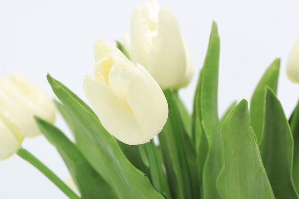 Fake tulip blooms for sale online