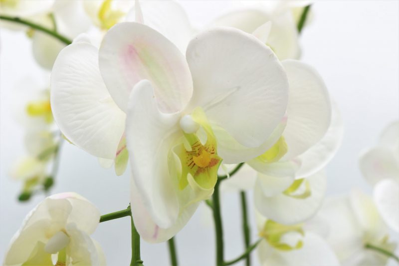 Artificial white orchid plant arrangement