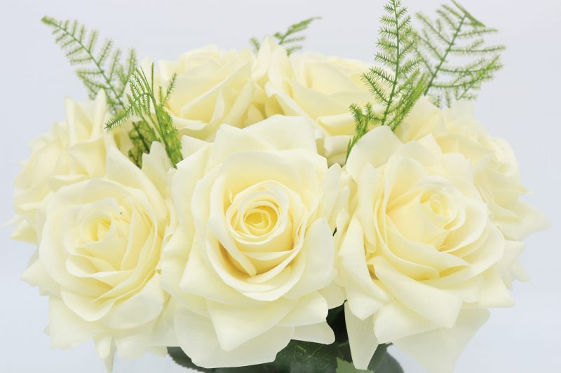 White rose flowers for sale online