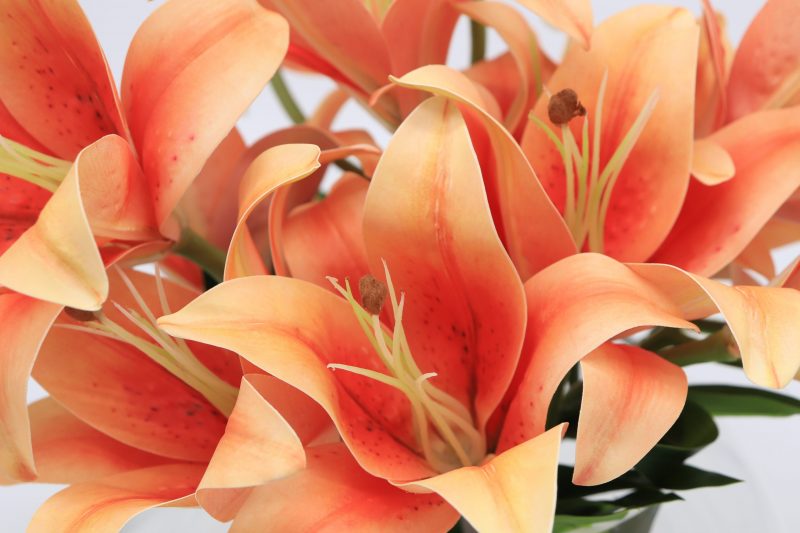 Artificial silk lily flowers up close picture
