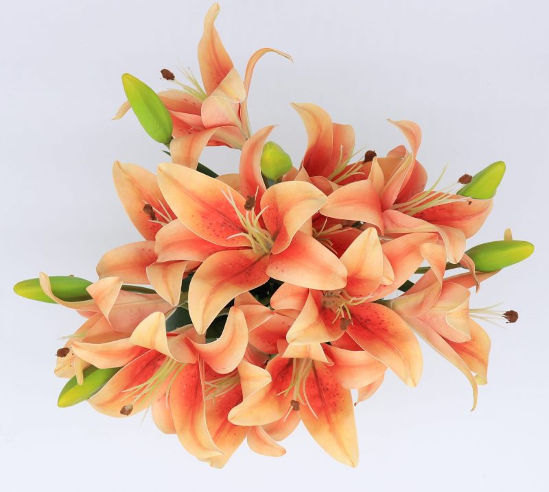 An overhead shot of fake lily flowers