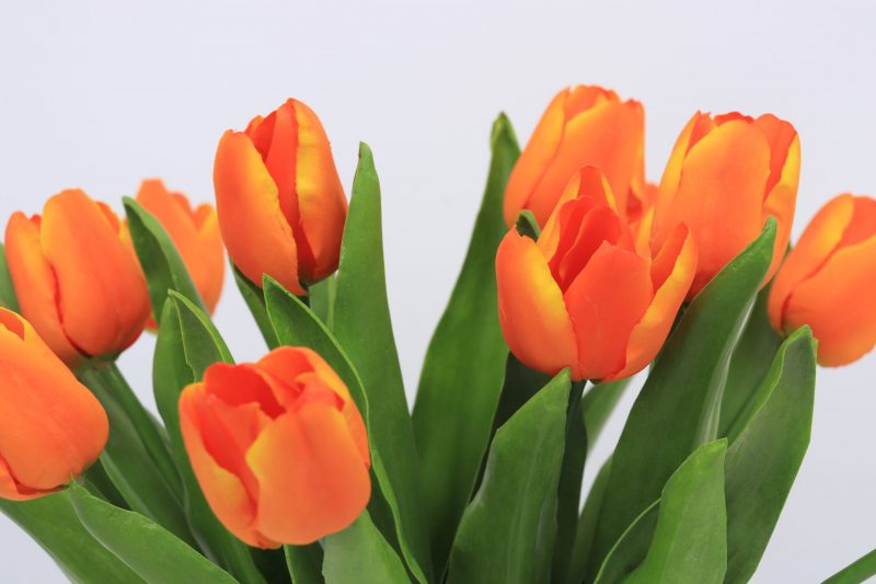 Faux orange tulip blooms and leaves