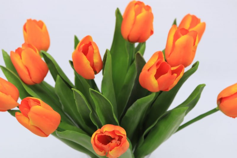 Fake tulip flowers
