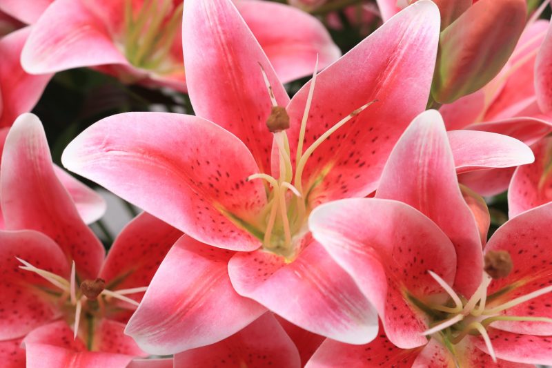 Artificial pink lily arrangement 