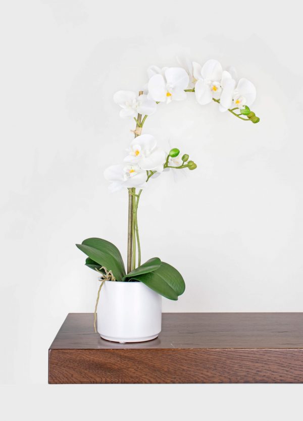 Artificial Orchid Plant