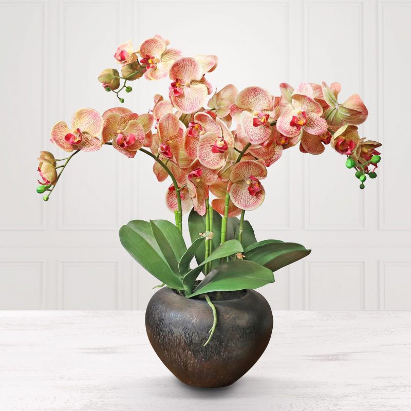 5 artificial apricot orchid set in metal pot