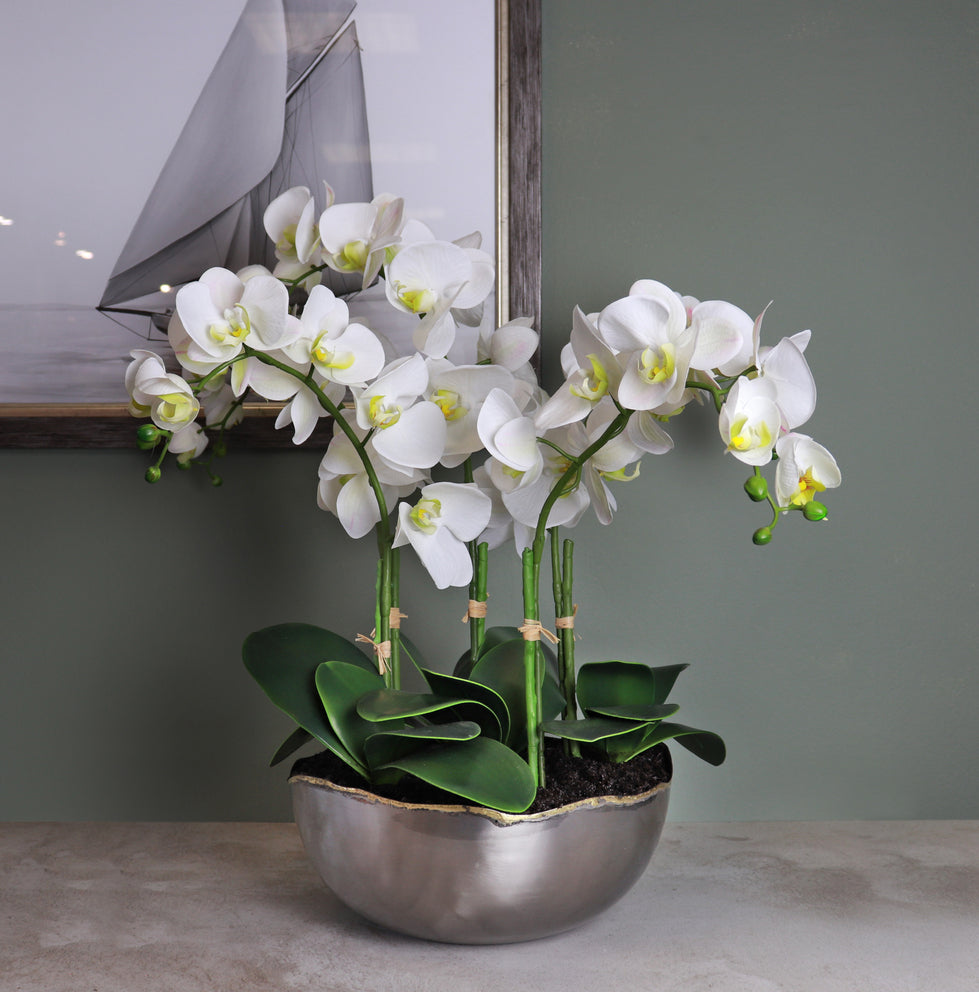Artificial white orchid plant