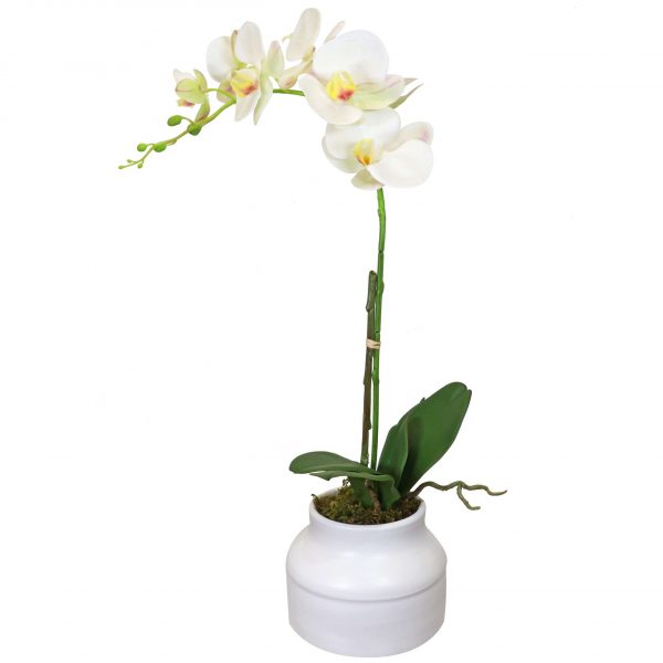 Faux white orchid plant set in a white ceramic pot