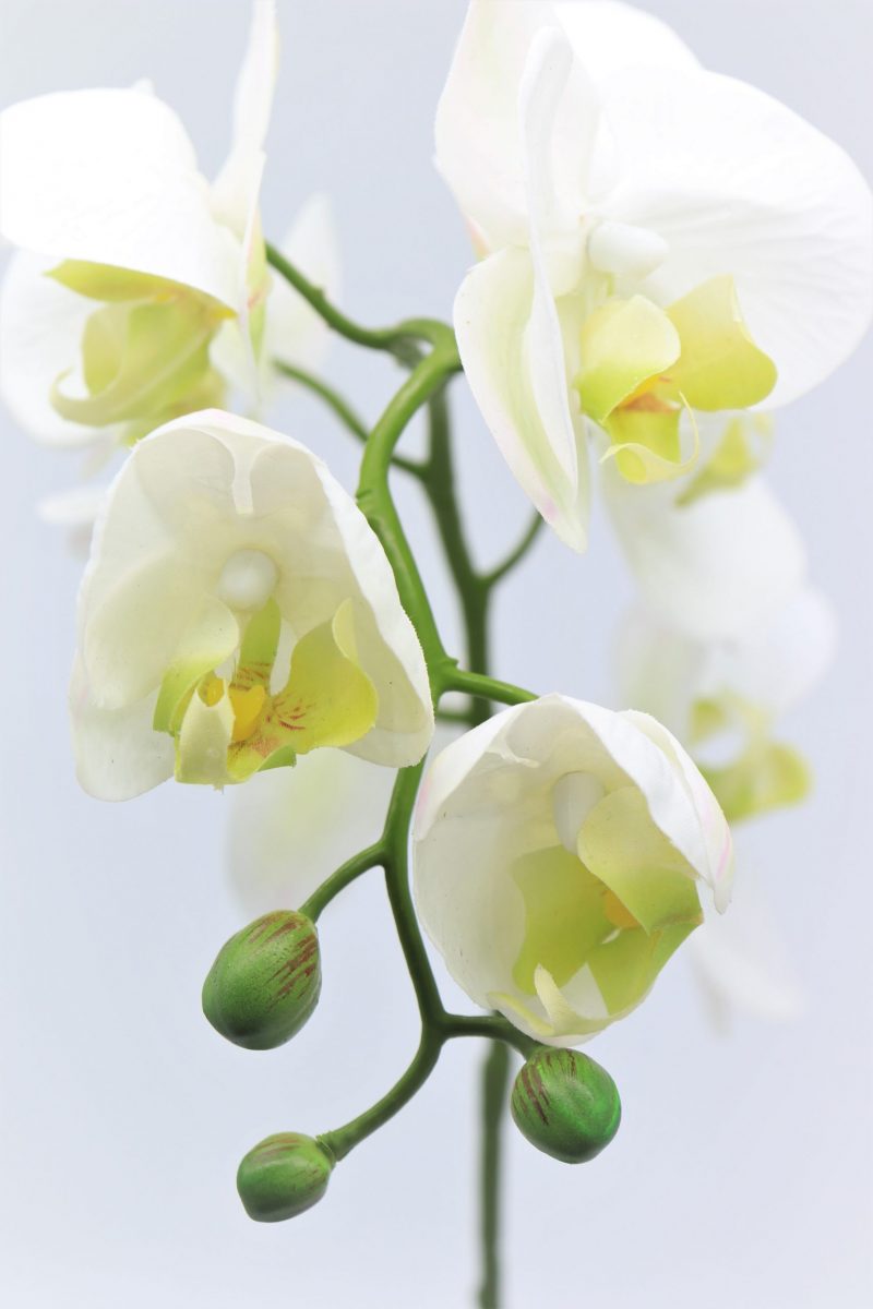 Artificial white orchid plant for sale online