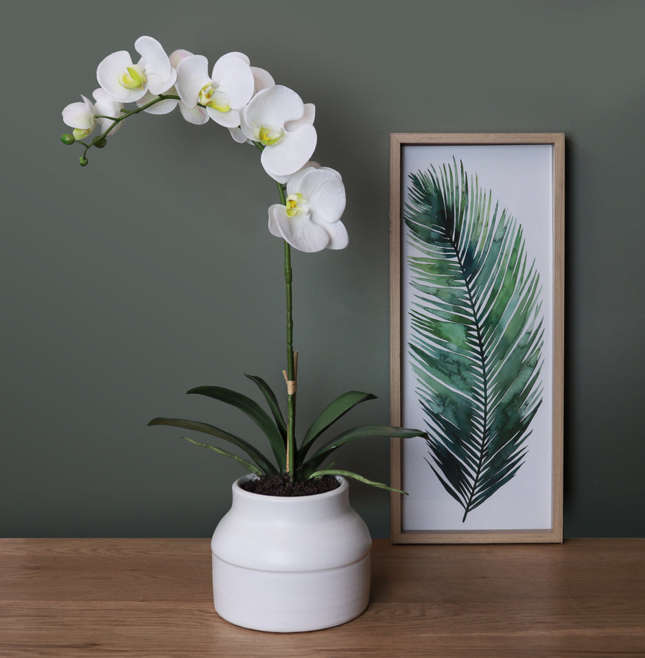 Artificial white orchid plant in pot