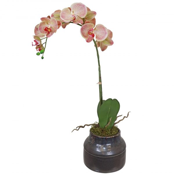 Fake orange orchid plant set in dark ceramic pot