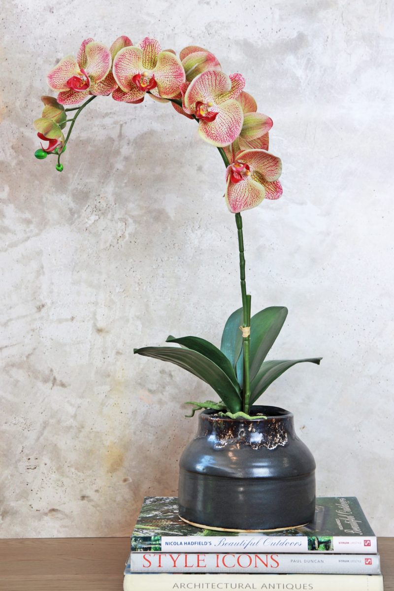 Fake orange orchid plant set in pot