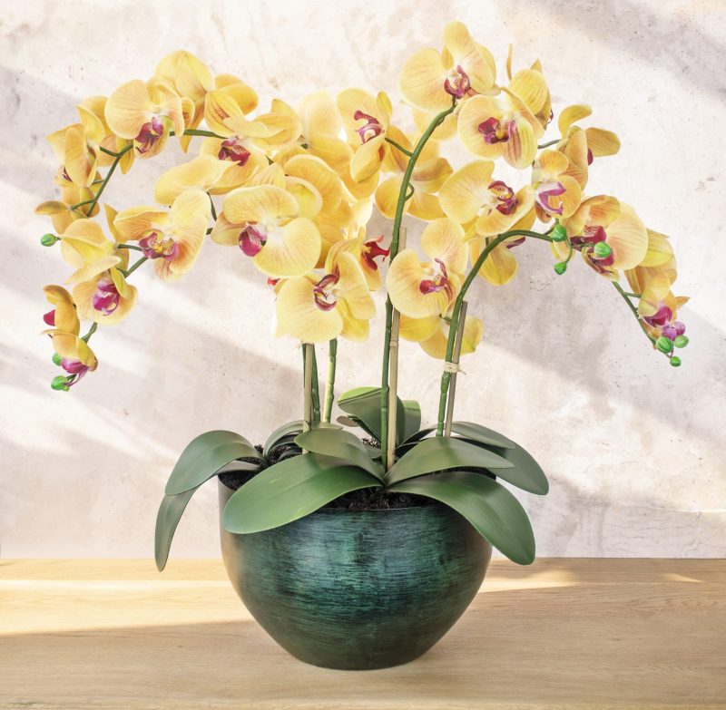 Artificial orchid plant
